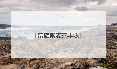 富硒紫麦喜丰收