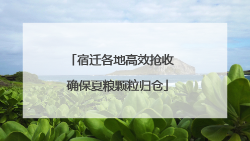 宿迁各地高效抢收 确保夏粮颗粒归仓