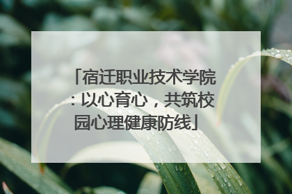 宿迁职业技术学院：以心育心，共筑校园心理健康防线