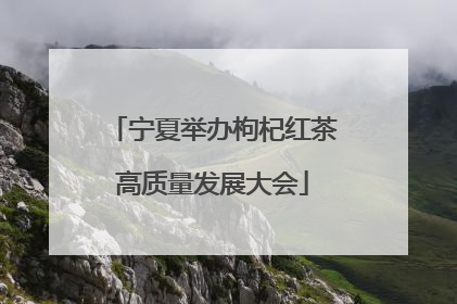 宁夏举办枸杞红茶高质量发展大会