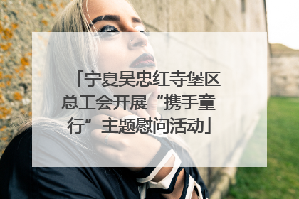 宁夏吴忠红寺堡区总工会开展“携手童行”主题慰问活动