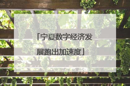 宁夏数字经济发展跑出加速度