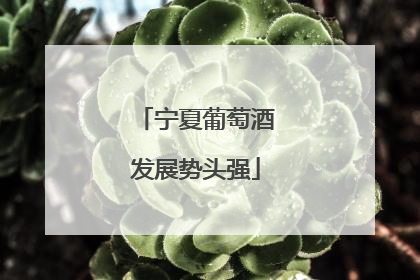 宁夏葡萄酒发展势头强