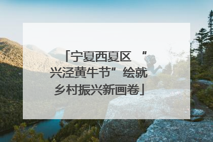 宁夏西夏区 “兴泾黄牛节”绘就乡村振兴新画卷