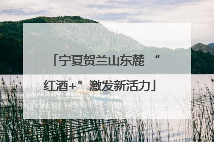 宁夏贺兰山东麓 “红酒+”激发新活力