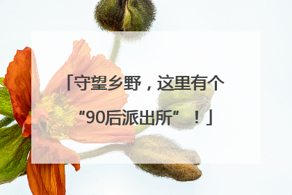 守望乡野，这里有个“90后派出所”！