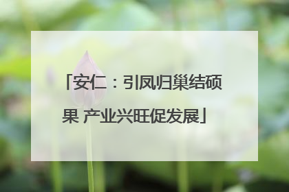 安仁：引凤归巢结硕果 产业兴旺促发展