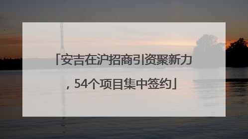 安吉在沪招商引资聚新力，54个项目集中签约