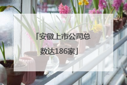 安徽上市公司总数达186家