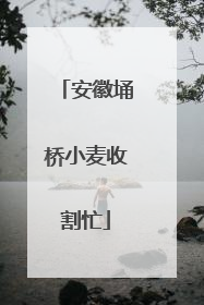 安徽埇桥小麦收割忙