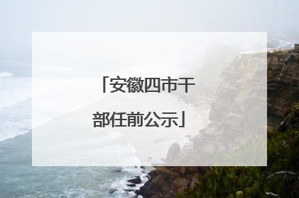 安徽四市干部任前公示