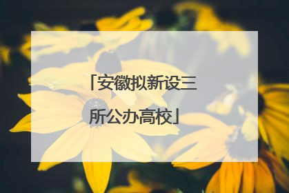 安徽拟新设三所公办高校