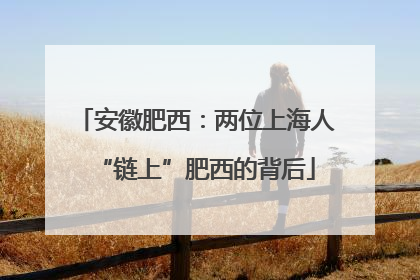安徽肥西：两位上海人“链上”肥西的背后