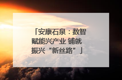 安康石泉：数智赋能兴产业 铺就振兴“新丝路”
