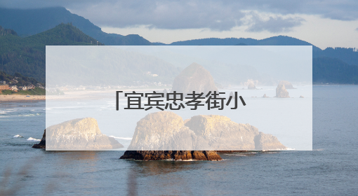 宜宾忠孝街小学第三届“艺术之星”艺术人才大赛圆满落幕