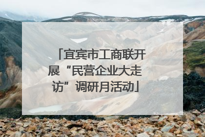 宜宾市工商联开展“民营企业大走访”调研月活动