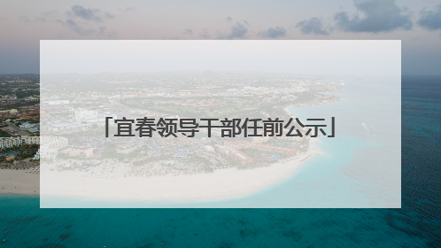宜春领导干部任前公示