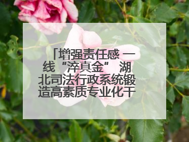 增强责任感 一线“淬真金” 湖北司法行政系统锻造高素质专业化干警队伍