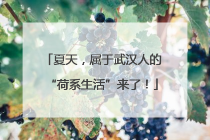 夏天，属于武汉人的“荷系生活”来了！