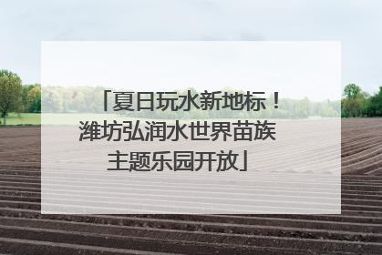 夏日玩水新地标！潍坊弘润水世界苗族主题乐园开放