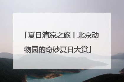 夏日清凉之旅丨北京动物园的奇妙夏日大赏