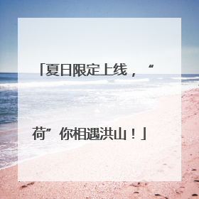 夏日限定上线，“荷”你相遇洪山！