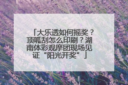 大乐透如何摇奖？顶呱刮怎么印刷？湖南体彩观摩团现场见证“阳光开奖”