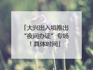 大兴出入境推出“夜间办证”专场！具体时间