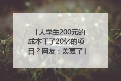 大学生200元的成本干了20亿的项目？网友：羡慕了