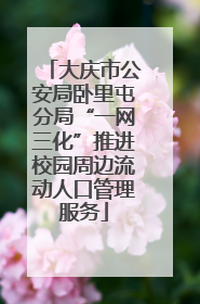 大庆市公安局卧里屯分局“一网三化”推进校园周边流动人口管理服务