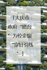 大庆市：政府“搭台”为校企银“穿针引线”