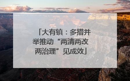 大有镇：多措并举推动“两清两改两治理”见成效
