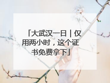 大武汉一日｜仅用两小时，这个证书免费拿下