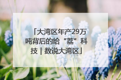 大湾区年产29万吨背后的给“荔”科技｜数说大湾区