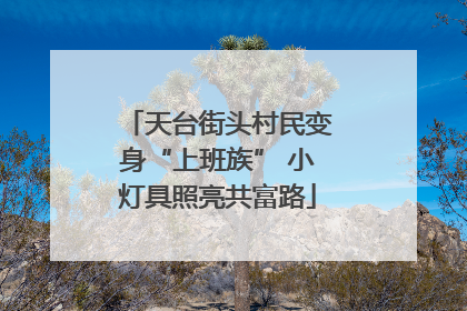 天台街头村民变身“上班族” 小灯具照亮共富路