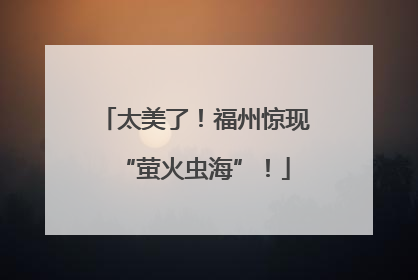 太美了！福州惊现“萤火虫海”！