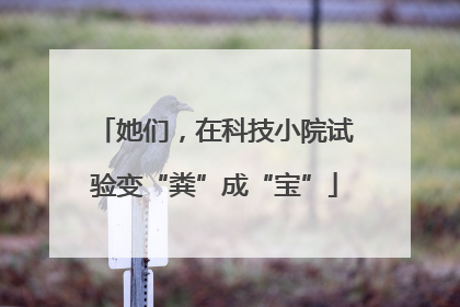 她们，在科技小院试验变“粪”成“宝”