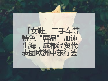 女鞋、二手车等特色“蓉品”加速出海，成都经贸代表团欧洲中东行签单逾3.7亿元