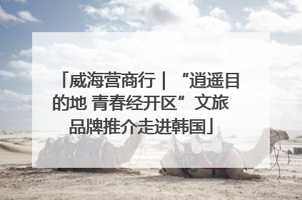 威海营商行｜“逍遥目的地 青春经开区”文旅品牌推介走进韩国