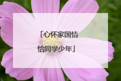 心怀家国情 恰同学少年