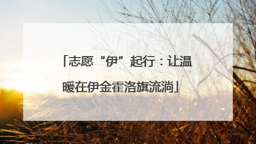 志愿“伊”起行：让温暖在伊金霍洛旗流淌