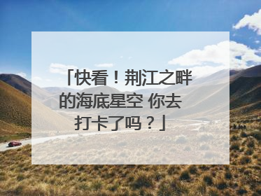 快看！荆江之畔的海底星空 你去打卡了吗？