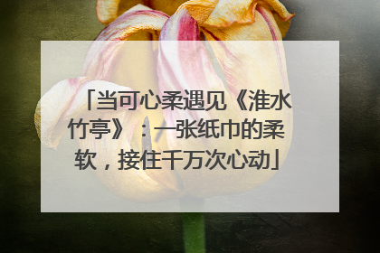 当可心柔遇见《淮水竹亭》：一张纸巾的柔软，接住千万次心动