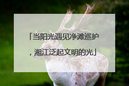 当阳光遇见净滩巡护，湘江泛起文明的光
