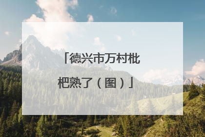 德兴市万村枇杷熟了（图）
