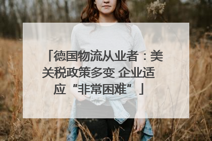 德国物流从业者：美关税政策多变 企业适应“非常困难”