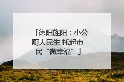 德阳旌阳：小公厕大民生 托起市民“微幸福”