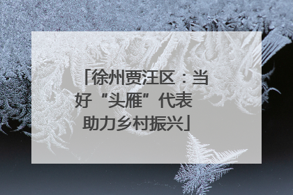 徐州贾汪区：当好“头雁”代表 助力乡村振兴