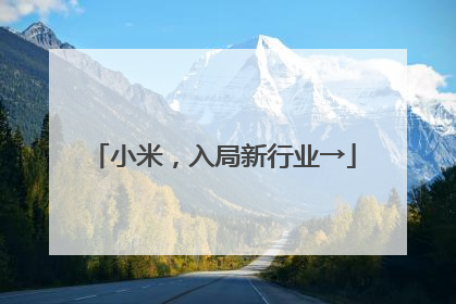 小米，入局新行业→