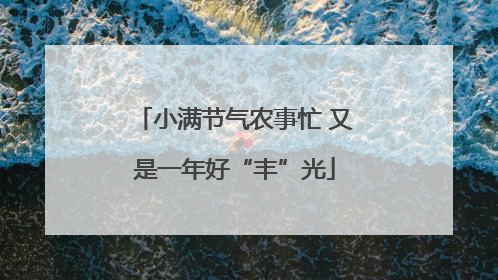 小满节气农事忙 又是一年好“丰”光